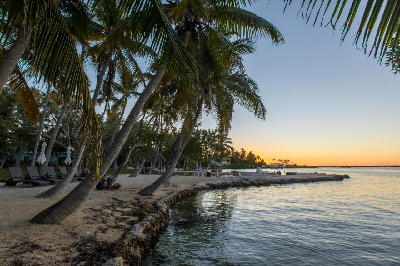 La Jolla Resort Islamorada Kültér fotó